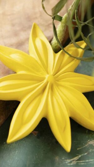 Janis, Badiane MONOCHROMIC