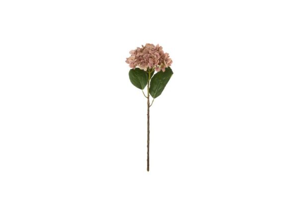 Fleur Hortensia - Image 2