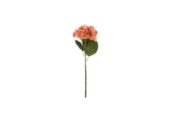 Fleur Hortensia